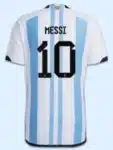 Argentina World Cup Winner Jersey 3 Star Customize Version 1709928401-1