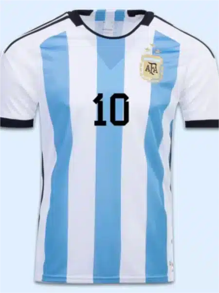 Argentina National Team Jersey Customize Version 2022