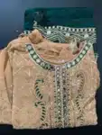 New Georgette Salwar Kameez For Women ISC031023A (19)