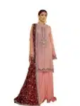 New Georgette Salwar Kameez For Women ISC031023A (19)