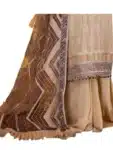 New Georgette Salwar Kameez For Women ISC031023A (19)