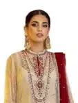New Georgette Salwar Kameez For Women ISC031023A (19)