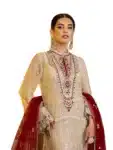 New Georgette Salwar Kameez For Women ISC031023A (19)