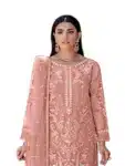 Stylish Embroidered Shalwar Kameez Desi Dress For Women ISC031023B (3)