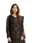 Traditional Elegant Designer Salwar Kameez For Women ISC031023C (23)