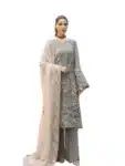 Traditional Elegant Designer Salwar Kameez For Women ISC031023C (23)