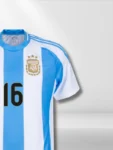 Argentina Customized Fan Version Soccer Jersey (1)