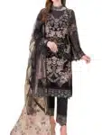 Exclusive Chiffon Salwar Kameez with Embroidery Work PSC072923B (59)