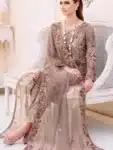 Exclusive Chiffon Salwar Kameez with Embroidery Work PSC072923B (59)