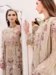 Exclusive Chiffon Salwar Kameez with Embroidery Work PSC072923B (59)