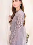 Exclusive Chiffon Salwar Kameez with Embroidery Work PSC072923B (59)