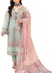 Pakistani Organza Salwar Kameez with Embroidery Work PSC072923A (34)