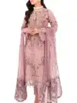 Pakistani Organza Salwar Kameez with Embroidery Work PSC072923A (34)