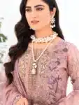 Pakistani Organza Salwar Kameez with Embroidery Work PSC072923A (34)