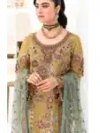 Pakistani Organza Salwar Kameez with Embroidery Work PSC072923A (34)