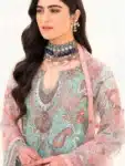 Pakistani Organza Salwar Kameez with Embroidery Work PSC072923A (34)