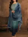 Traditional Salwar Kameez Cotton with Embroidery Work ISC072823C (18)