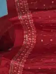 Deshi Embroidery Salwar Kameez with Stone Work Collection IBC02192024 (10)