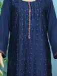 Deshi Embroidery Salwar Kameez with Stone Work Collection IBC02192024 (10)