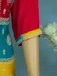 Deshi Salwar Kameez Chinnon Georgette with Embroidery work IBC02182024 (11)