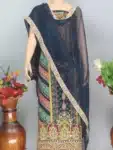 Deshi Salwar Kameez Embroidery with Glass Work Collection IBC02202024 (9)