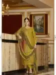 Exceptional Salwar Kameez Suits with Embroidery Work