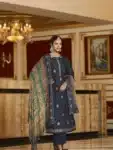 Exceptional Salwar Kameez Suits with Embroidery Work IBC02232024 (21)