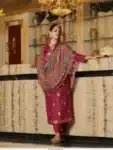 Exceptional Salwar Kameez Suits with Embroidery Work IBC02232024 (23)