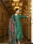 Exceptional Salwar Kameez Suits with Embroidery Work IBC02232024 (5)
