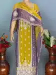 Exclusive Deshi Salwar Kameez with Sequence and Embroidery IBC02212024 (8)