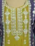 Exclusive Deshi Salwar Kameez with Sequence and Embroidery IBC02212024 (8)