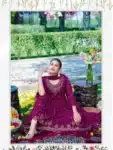 Luxurious Deshi Salwar Kameez with Embroidery Work Collection IBC02222024 (13)