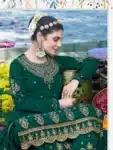Luxurious Deshi Salwar Kameez with Embroidery Work Collection IBC02222024 (13)