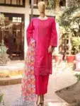 Luxury Embroidery Pure Cotton Salwar kameez Collection PSC02292024 (6)