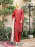 Luxury Embroidery Pure Cotton Salwar kameez Collection PSC02292024 (6)