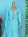 Traditional Sharara with Heavy Embroidery Work PSC02152024 (5)