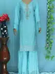 Traditional Sharara with Heavy Embroidery Work PSC02152024 (5)