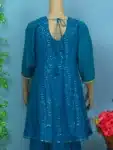 Exclusive Georgette Sharara with Embroidery work Collection ISR03042024 (3)