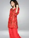 Fantastic Co-Ord Set with Digital Print work Collection ICS03022024E (1)