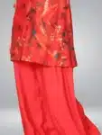 Fantastic Co-Ord Set with Digital Print work Collection ICS03022024E (1)