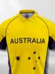 Australia T20 World Cup 2015 Fan Edition Cricket Jersey (1)