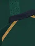 Ireland ODI Match Jersey 2023 Half Sleeves (1)