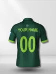 Pakistan T20 World Cup Fan Jersey 2022 (1)